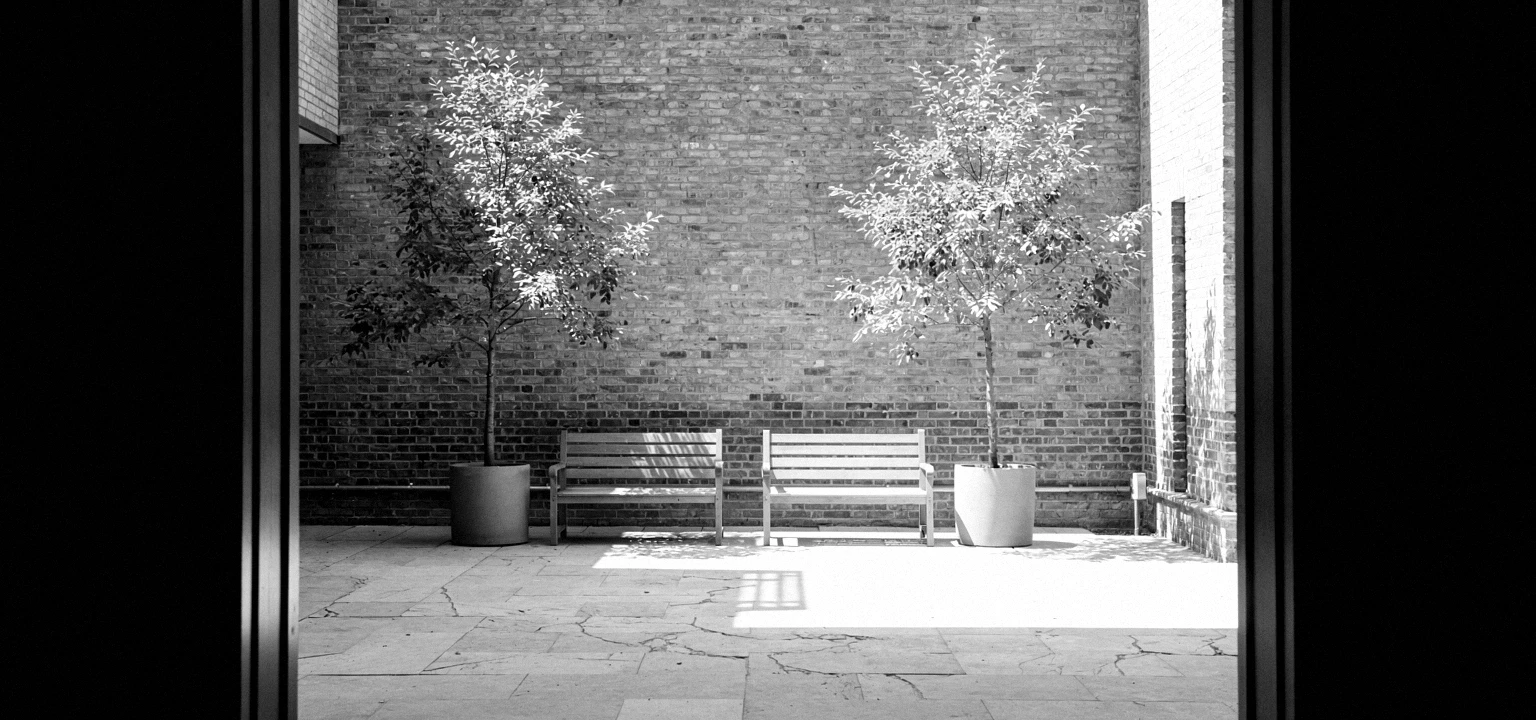 A sunlit brick courtyard with two benches and potted trees.